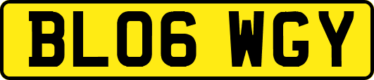 BL06WGY