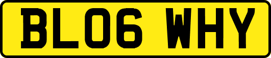 BL06WHY