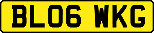 BL06WKG