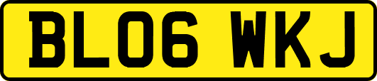 BL06WKJ