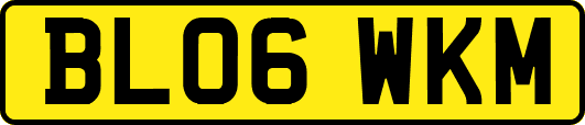 BL06WKM