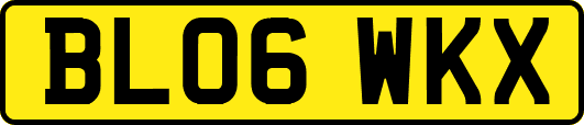 BL06WKX