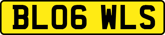 BL06WLS
