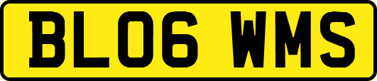 BL06WMS