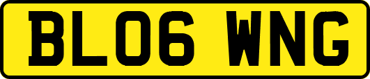 BL06WNG