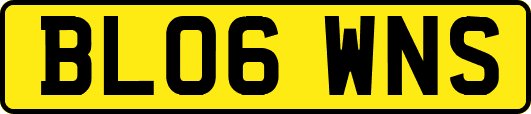 BL06WNS