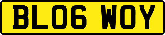 BL06WOY
