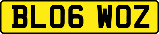 BL06WOZ