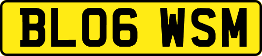 BL06WSM