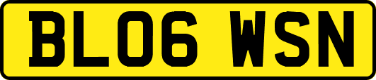 BL06WSN