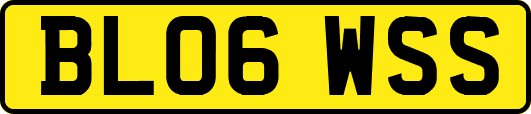 BL06WSS