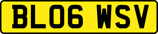 BL06WSV
