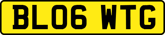 BL06WTG