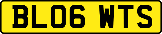BL06WTS