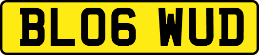 BL06WUD