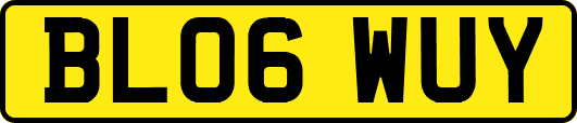 BL06WUY