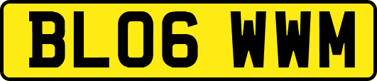 BL06WWM