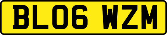 BL06WZM