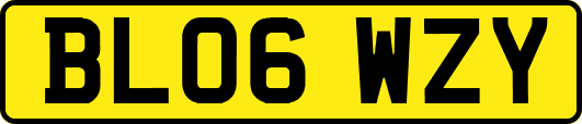 BL06WZY