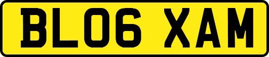 BL06XAM