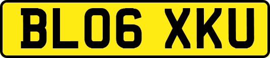 BL06XKU