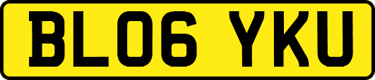 BL06YKU