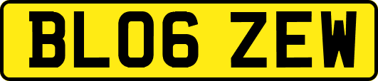 BL06ZEW