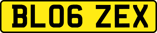 BL06ZEX