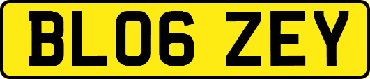 BL06ZEY
