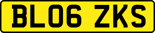 BL06ZKS