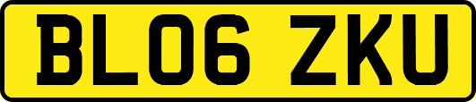 BL06ZKU
