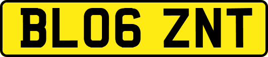 BL06ZNT