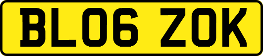 BL06ZOK