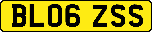 BL06ZSS