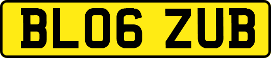 BL06ZUB