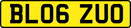 BL06ZUO