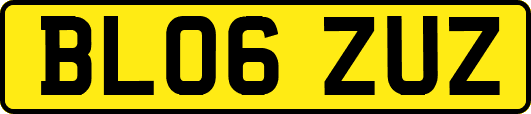 BL06ZUZ