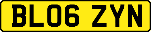 BL06ZYN