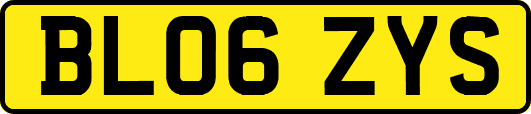 BL06ZYS