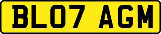 BL07AGM