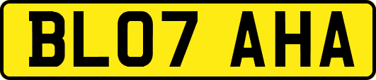BL07AHA