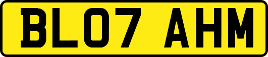 BL07AHM