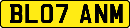 BL07ANM