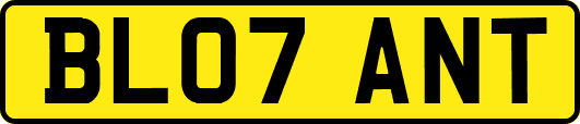 BL07ANT