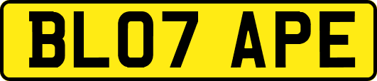 BL07APE