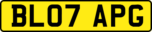 BL07APG