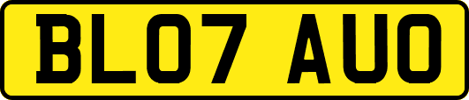 BL07AUO