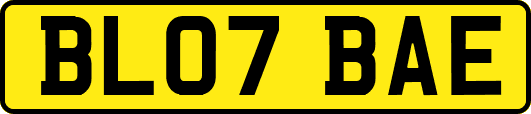 BL07BAE