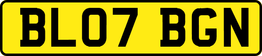 BL07BGN