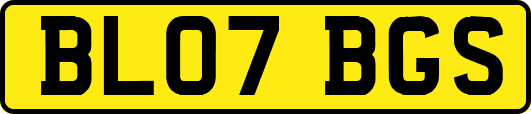 BL07BGS